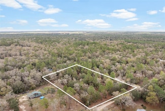 TBD NE 102nd Ct, East Bronson, FL 32621