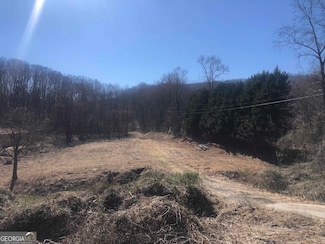 0 Hwy 115 W Unit 20170294, Cleveland, GA 30528