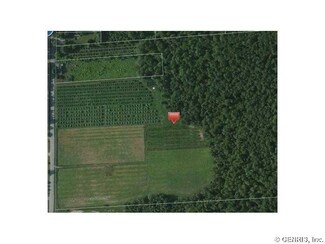 0 Wayne Center Rd Unit R291967, Rose, NY 14516