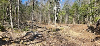 15 Adams Way, Middleton, NH 03887
