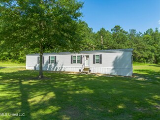 3218 County Road 16, Louin, MS 39338
