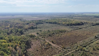 TBD 460th Ln, Logan Township, MN 56469