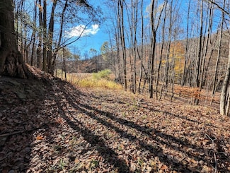 Greenwood Rd, Greenwood, NY 14839