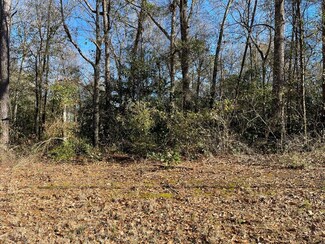 0 N Thompson St, Ellaville, GA 31806