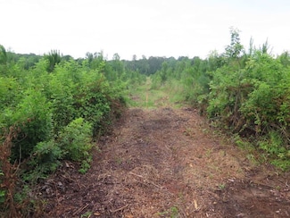 On Land Fill Rd, Newton, MS 39345