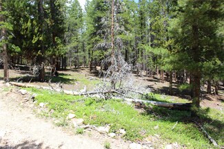 6731 Turkey Gulch Rd, Idaho Springs, CO 80452