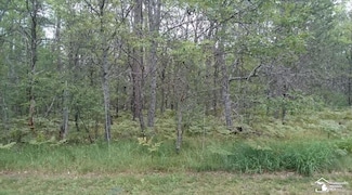 0 Garland-Williams Blvd Lot 46 Rd Unit 50172897, Lewiston, MI 49756