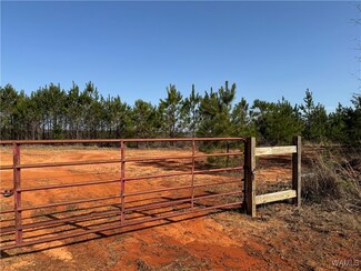 0 U S Highway 13 N Unit 167555, Fayette, AL 35555