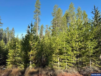 TL 9 Artesian Dr, Chiloquin, OR 97624