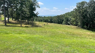 Lot 52 County Road 767 Unit 52, Cedar Bluff, AL 35959