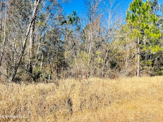 Nhn Lot 8 18 Th St, Bay Saint Louis, MS 39520