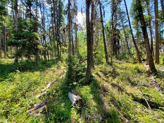 TBD Bear Gulch Unit Lot 5, Lincoln, MT 59639