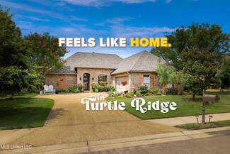 703 Tortoise Ridge, Brandon, MS 39047