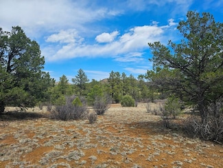 0 Silver Spruce Cir Unit 23437029, Weston, CO 81091