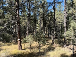 Lot 864 Conchas Dr, Angel Fire, NM 87710