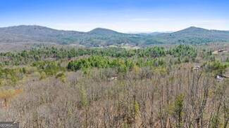 40B Synacia Dr, Mineral Bluff, GA 30559
