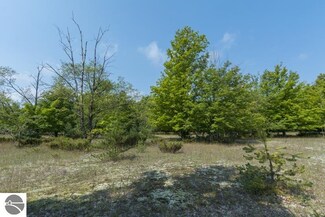 0 W Beeman Rd Unit 1824104, Empire, MI 49630
