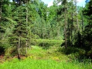 Lot 9&10 Oak Dr, Hazelhurst, WI 54531