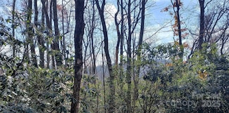 Lot 322 Sunny Dr, Newland, NC 28657