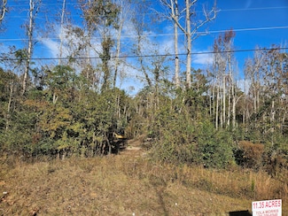 3979 Campground Rd, Wrens, GA 30833