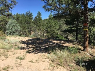 3425 L Path, Cotopaxi, CO 81223