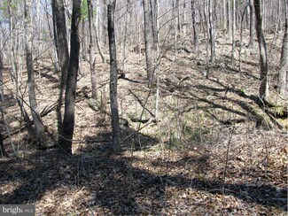 0 Lake Rd Unit 1002411838, Stanley, VA 22851