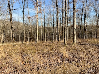 0 Havenwood Rd Unit RTC2800496, Mc Ewen, TN 37101