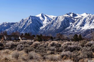 3600 Flare Ln Unit 3, Minden, NV 89423