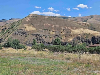24 Mossy Point Cir, White Bird, ID 83554