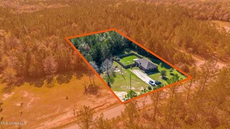 421 M P Parker Rd, Mc Henry, MS 39561