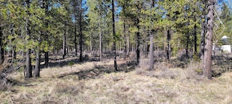 17112 Covina Rd, Bend, OR 97707