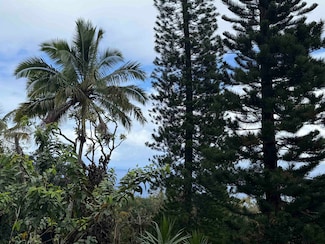 105 Acres Hana Hwy, Hana, HI 96713