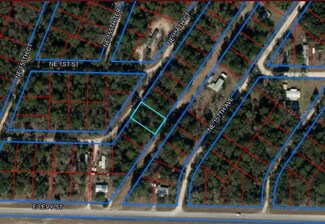 TBD NE 156 Ct, Williston, FL 32696