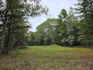 4829 Farm To Market 227, Grapeland, TX 75844
