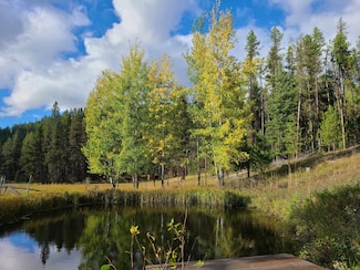 127 Lonely Moose Ln, Alberton, MT 59820