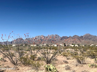 5113 Silver King Rd, Las Cruces, NM 88011