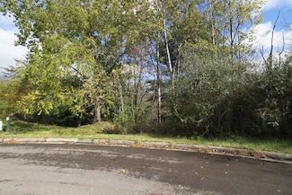1201 Lot # 2 Domenica Dr, Endicott, NY 13760