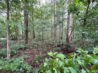 0 Nowhere Rd Unit 1027378, Nicholson, GA 30565