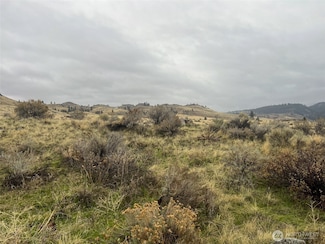 0 Lot 16 Pine Bluff Rd, Oroville, WA 98844