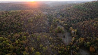 381 Cornell Rd, Kirbyville, MO 65679