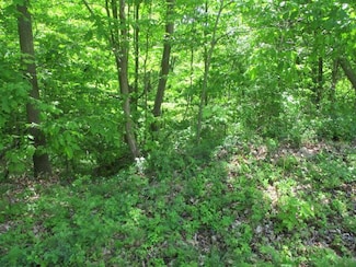 3670 Ohio St, Coloma, MI 49038