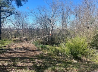 1301 Hawk Dr, Horseshoe Bend, AR 72512