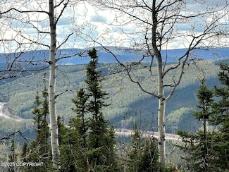 L32 B3 Olnes Loop Rd, Fairbanks, AK 99712