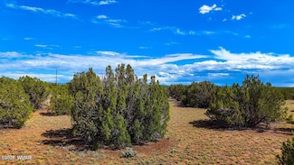 8730 Coronado Dr, White Mountain Lake, AZ 85901