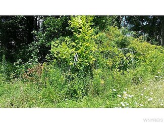 1927 Four Mile Rd, Allegany, NY 14706