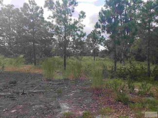 443 Hounds Hollow Rd, Cassatt, SC 29032