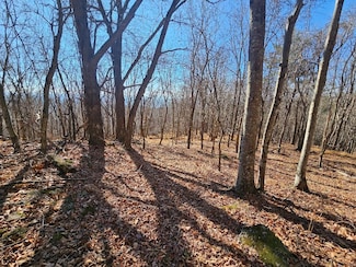 Lot#6 Fannies Ln, Fries, VA 24330