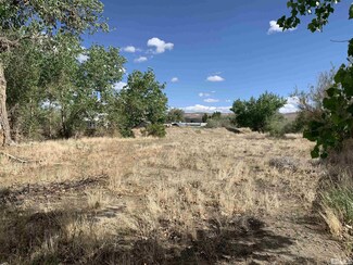 698 Jenny's Ln, Fernley, NV 89408