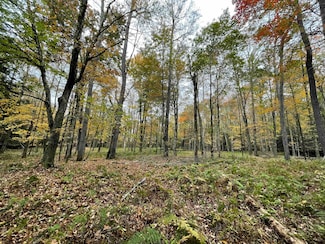 0 Mount Hope Rd, Bethel, NY 12783