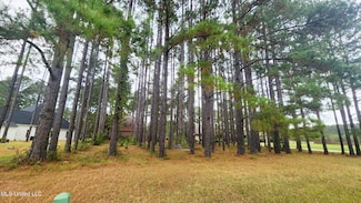 0 W Pins Ct, Natchez, MS 39120